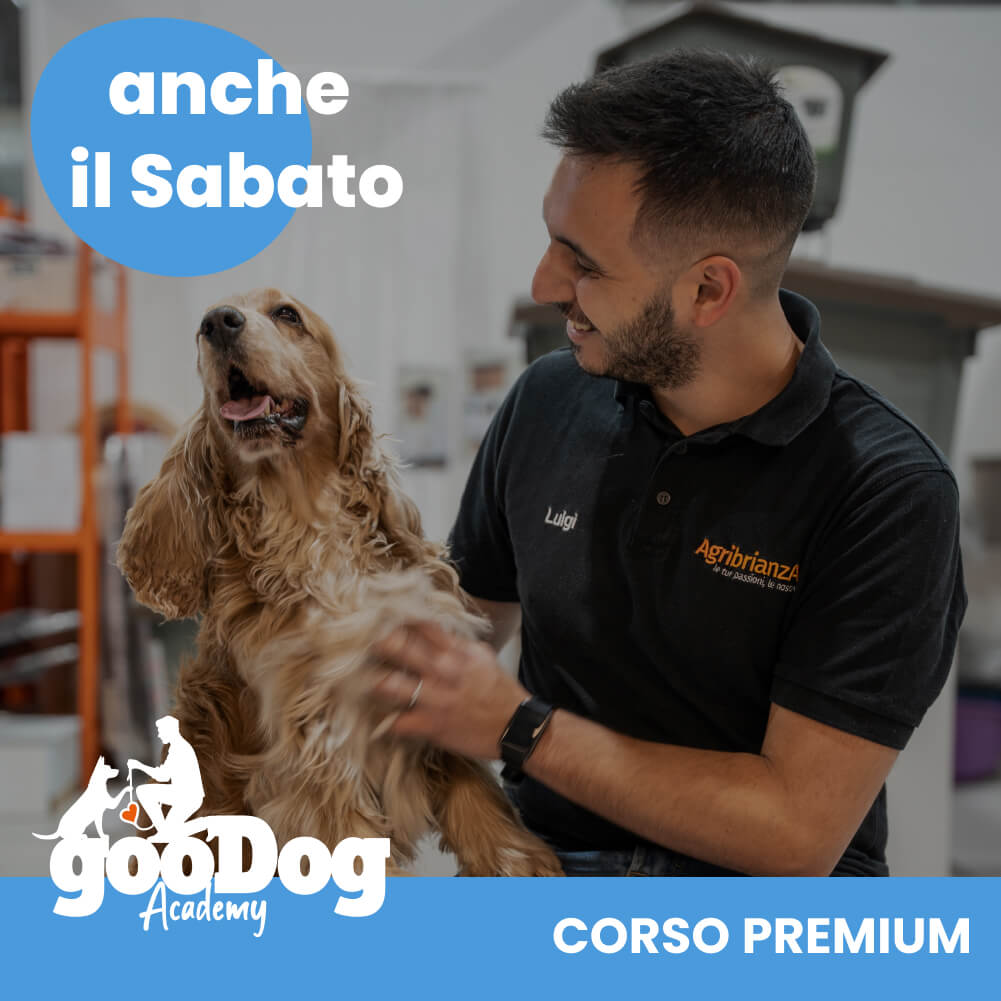 Corso GooDog Academy Premium