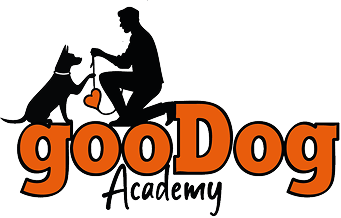 Corsi GooDog