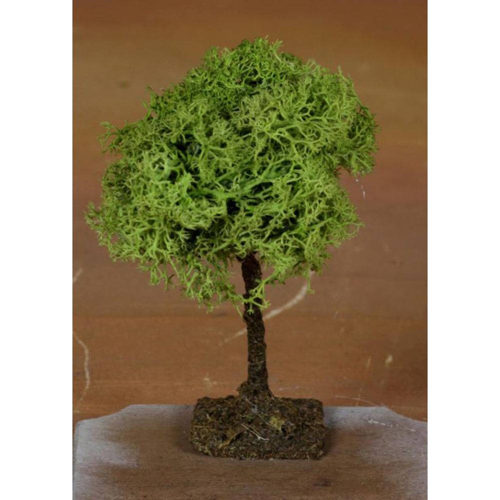 Albero Lichene 10cm 1