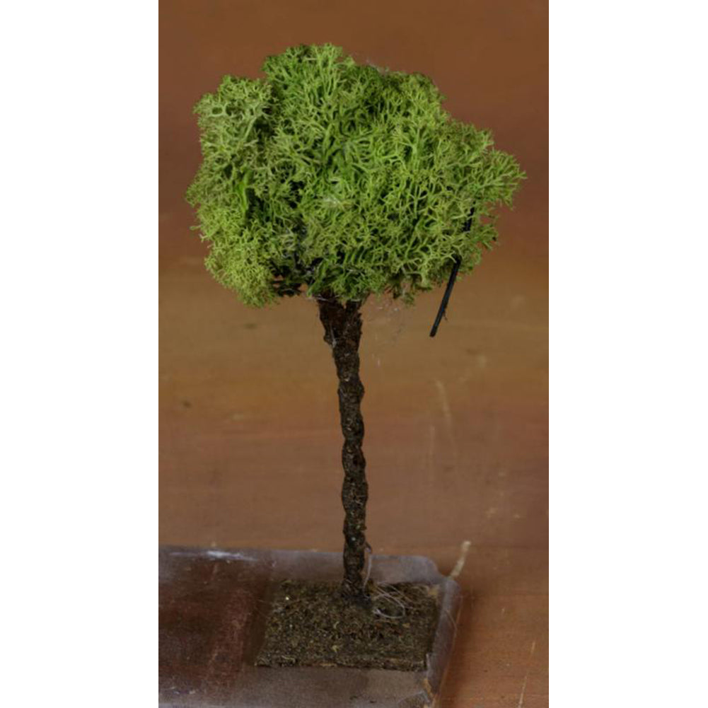 Albero Lichene 13cm 2