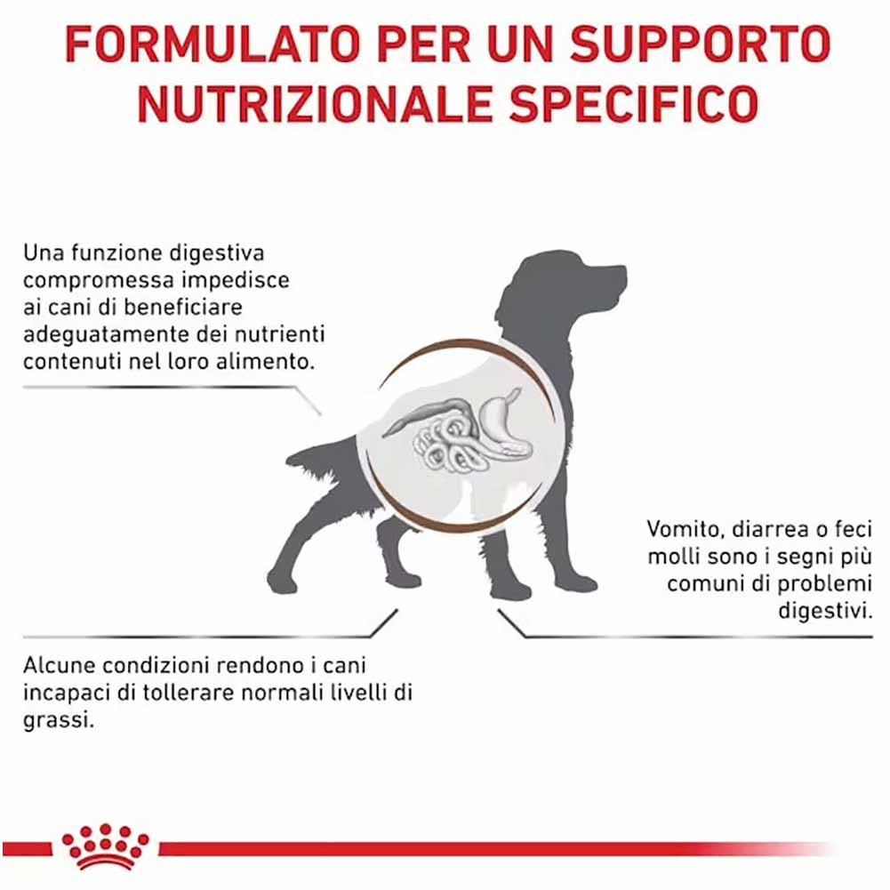 Alimento secco per cani Royal Canin Gastrointestinal Low Fat 6 kg 4