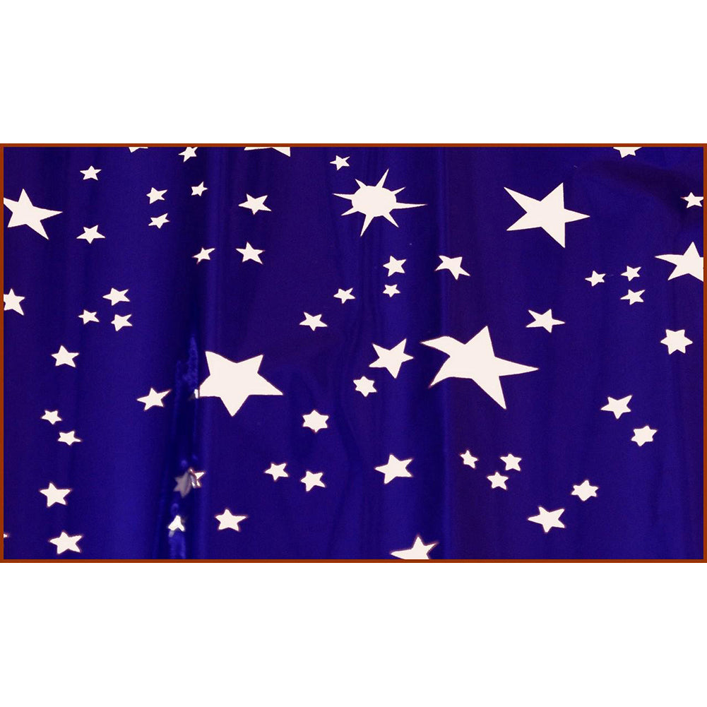 Carta cielo metallizzata con stelle argento 70x100 cm 1
