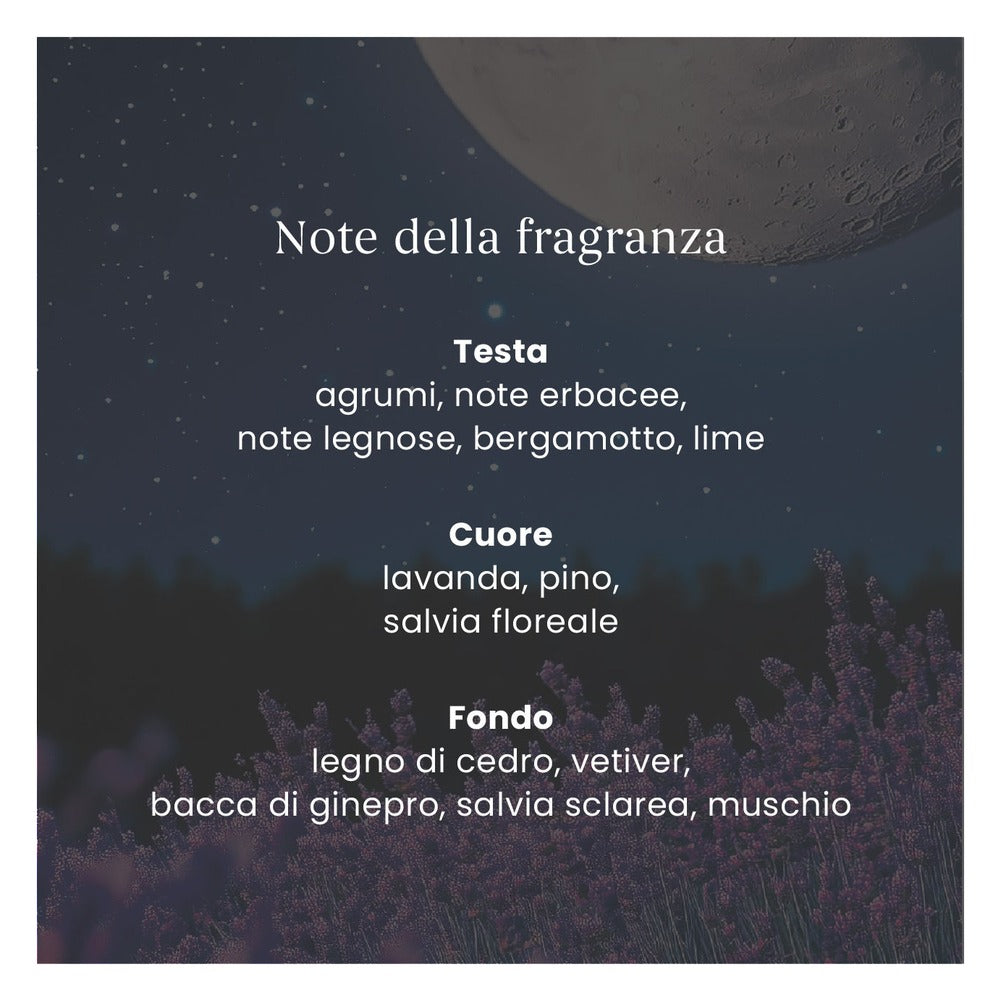 Profumatore per Auto Yankee Candle Car Jar Midsummer's Night 5