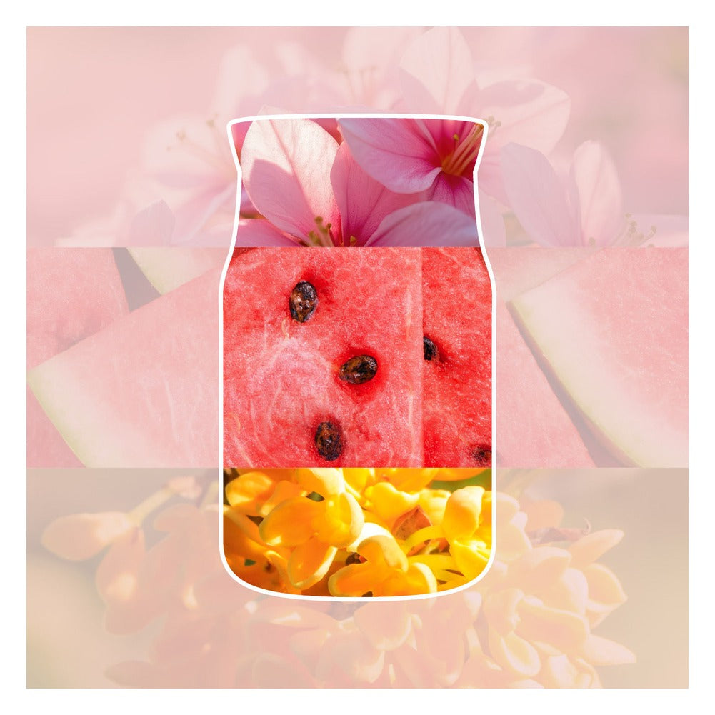 Profumatore per Auto Yankee Candle Car Jar Pink Sands 2