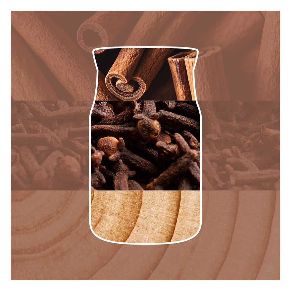 Ricarica ScentPlug Yankee Candle Cinnamon Stick 3