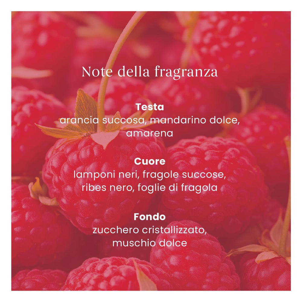 Ricarica ScentPlug Yankee Candle Red Raspberry 5