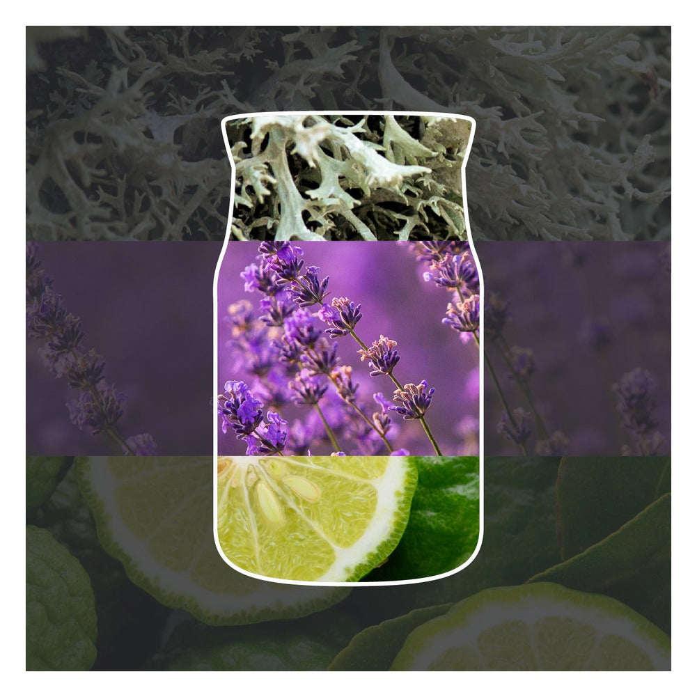 Ricarica ScentPlug Yankee Candle Midsummer's Night 2