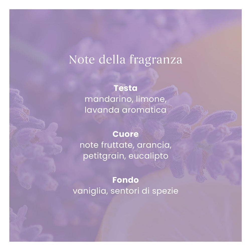 Ricarica ScentPlug Yankee Candle Lemon Lavender 6