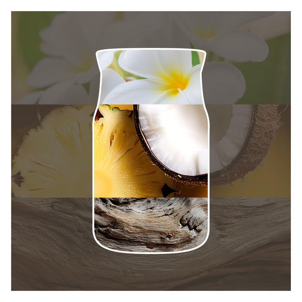 Ricarica ScentPlug Yankee Candle Black Coconut 2