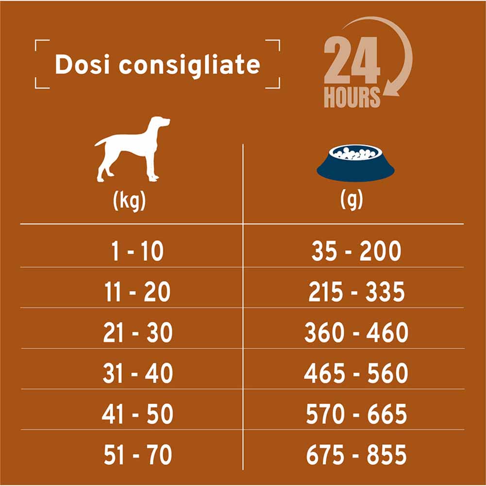 Alimento secco per cani Forza 10 Gastoenteric Low Fat 10 kg 4