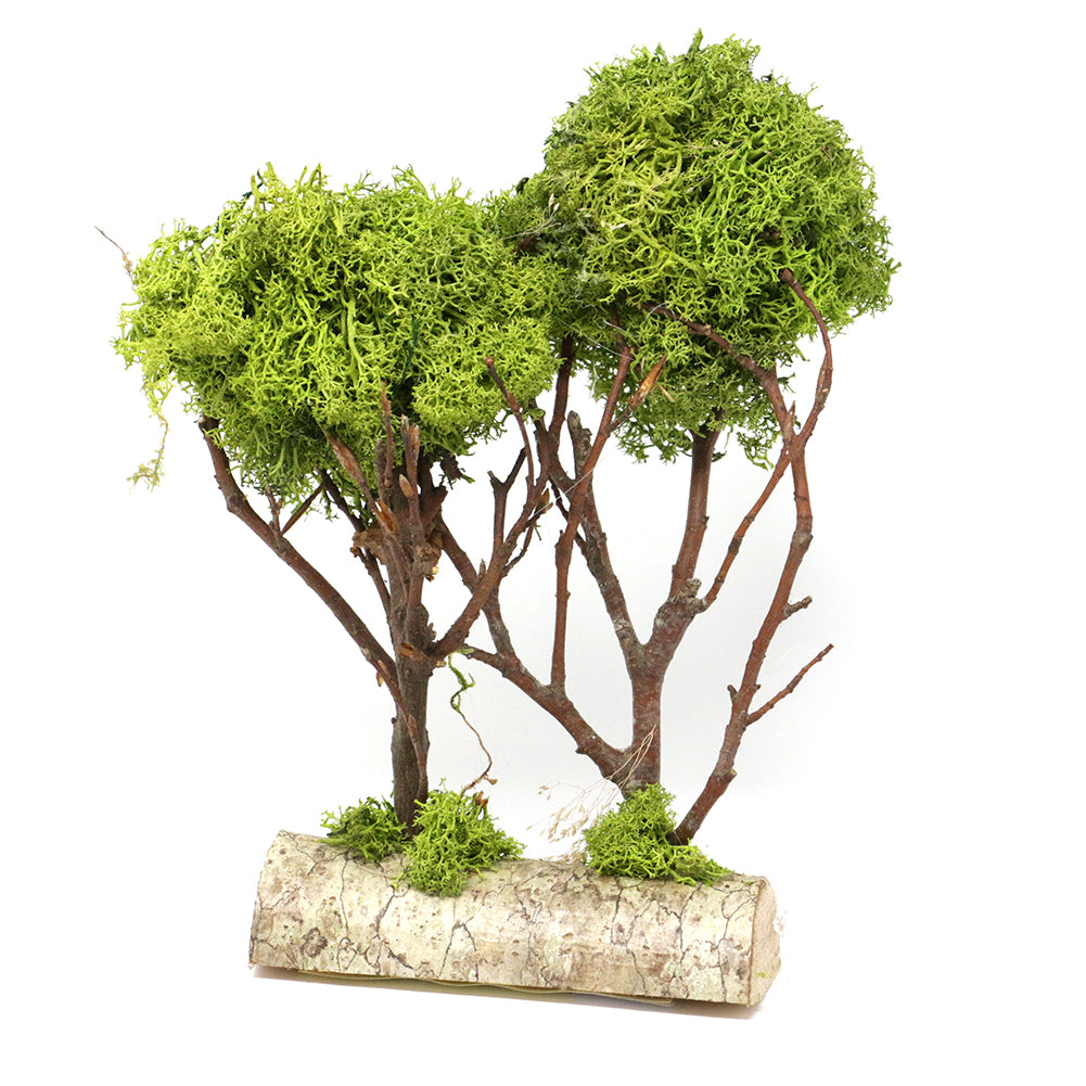 Albero di Lichene Doppio 11x4x19cm 1