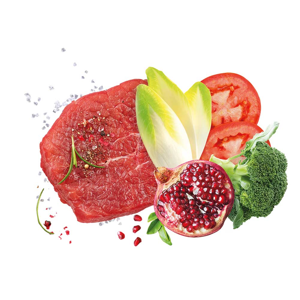 Alimento secco per cani Adult small Mediterraneo Manzo Exclusion 5