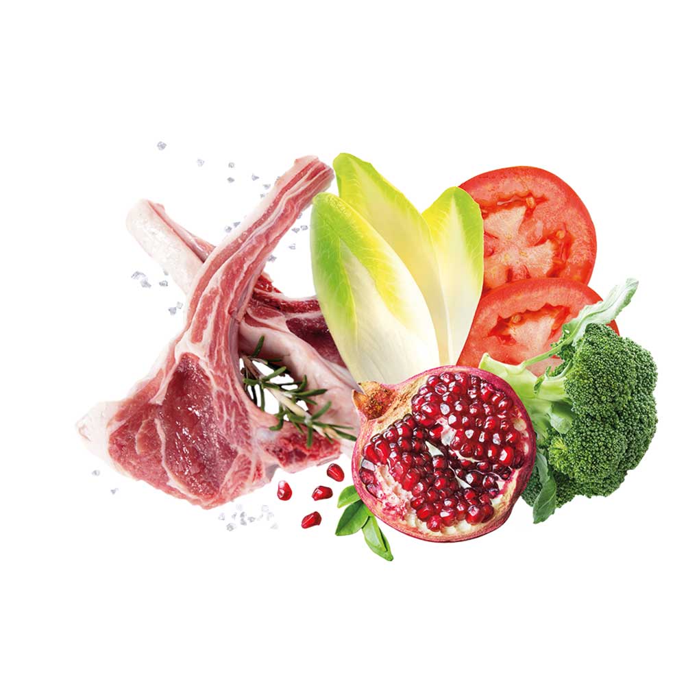 Alimento secco per cani Adult small Mediterraneo Agnello Exclusion 5