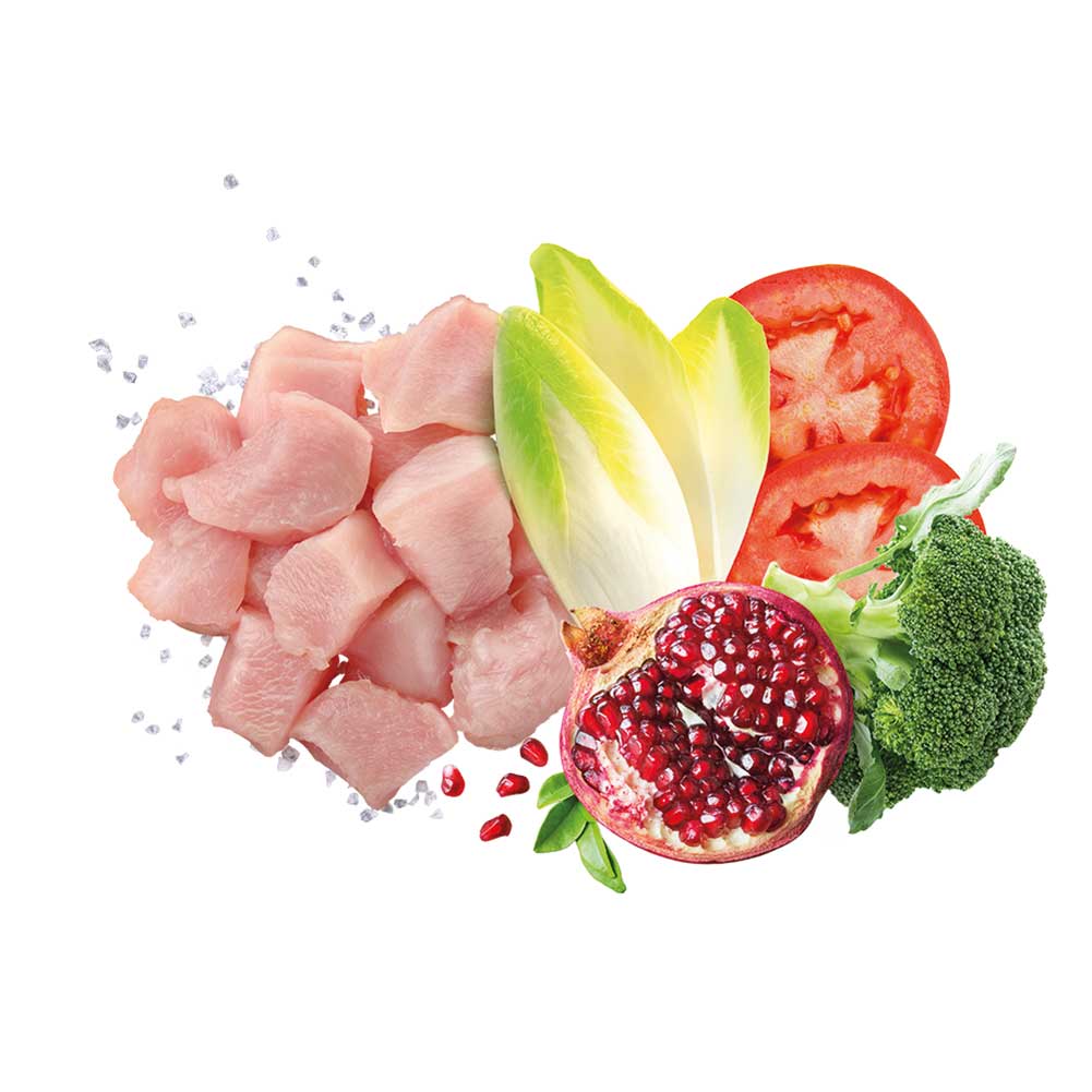 Alimento secco per cani Mature large e medium Mediterraneo Pollo 12kg Exclusion 2