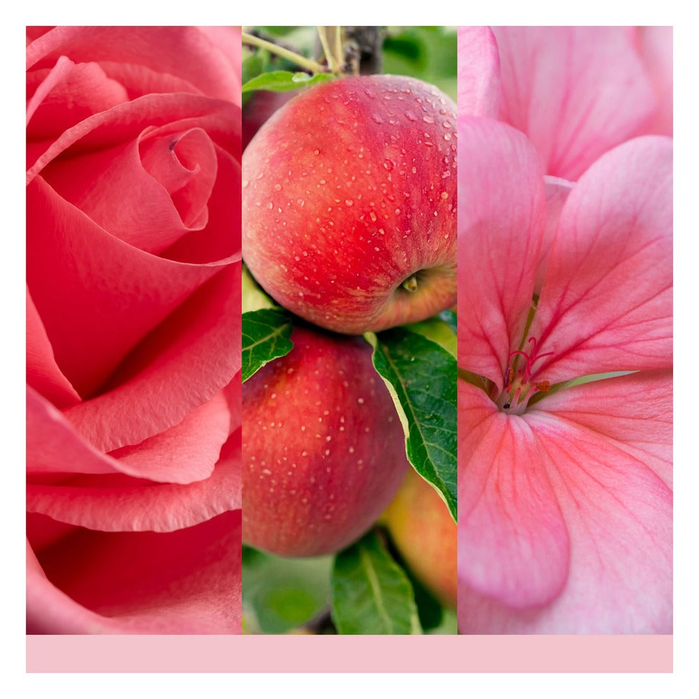 Tart Profumata Yankee Candle Fresh Cut Roses 2