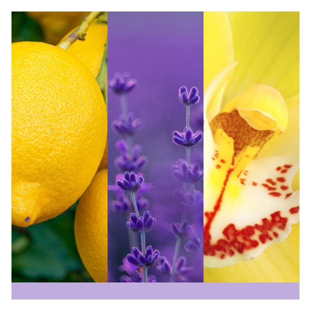 Tart Profumata Yankee Candle Lemon Lavender 2