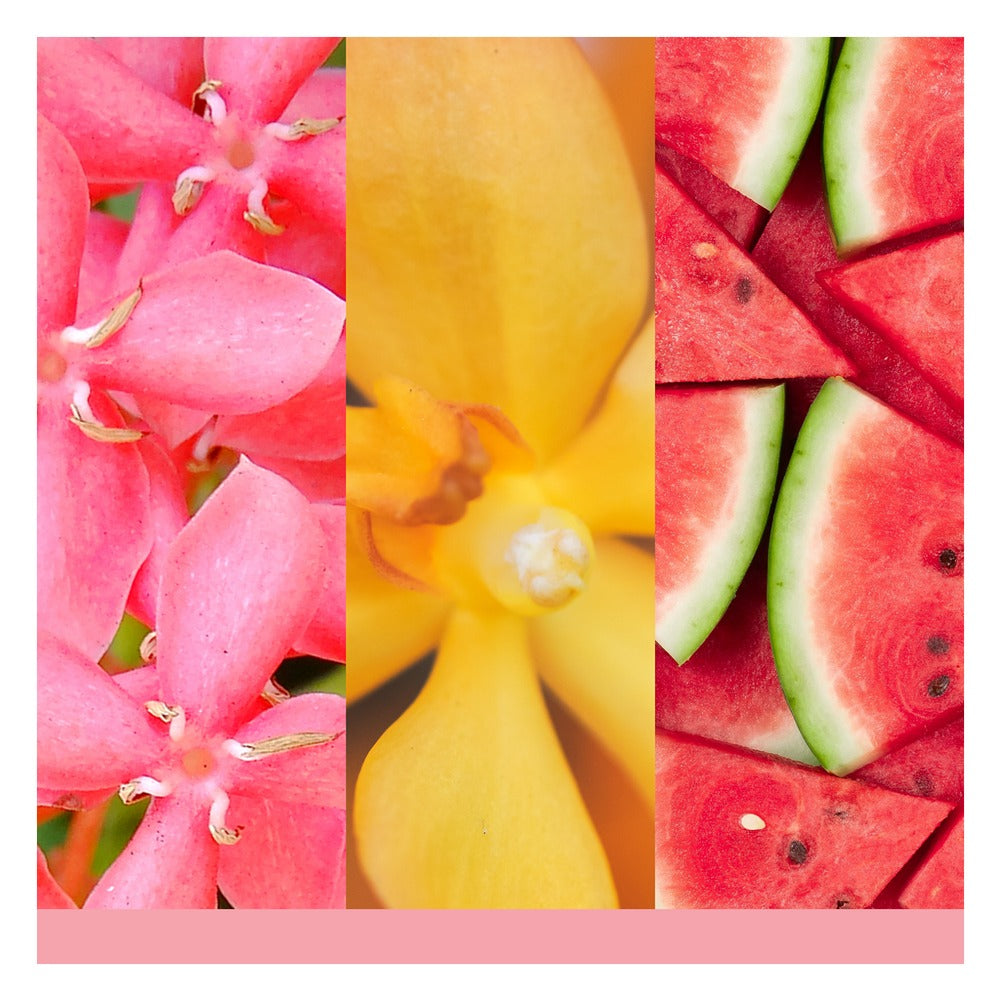 Tart Profumata Yankee Candle Pink Sands 2