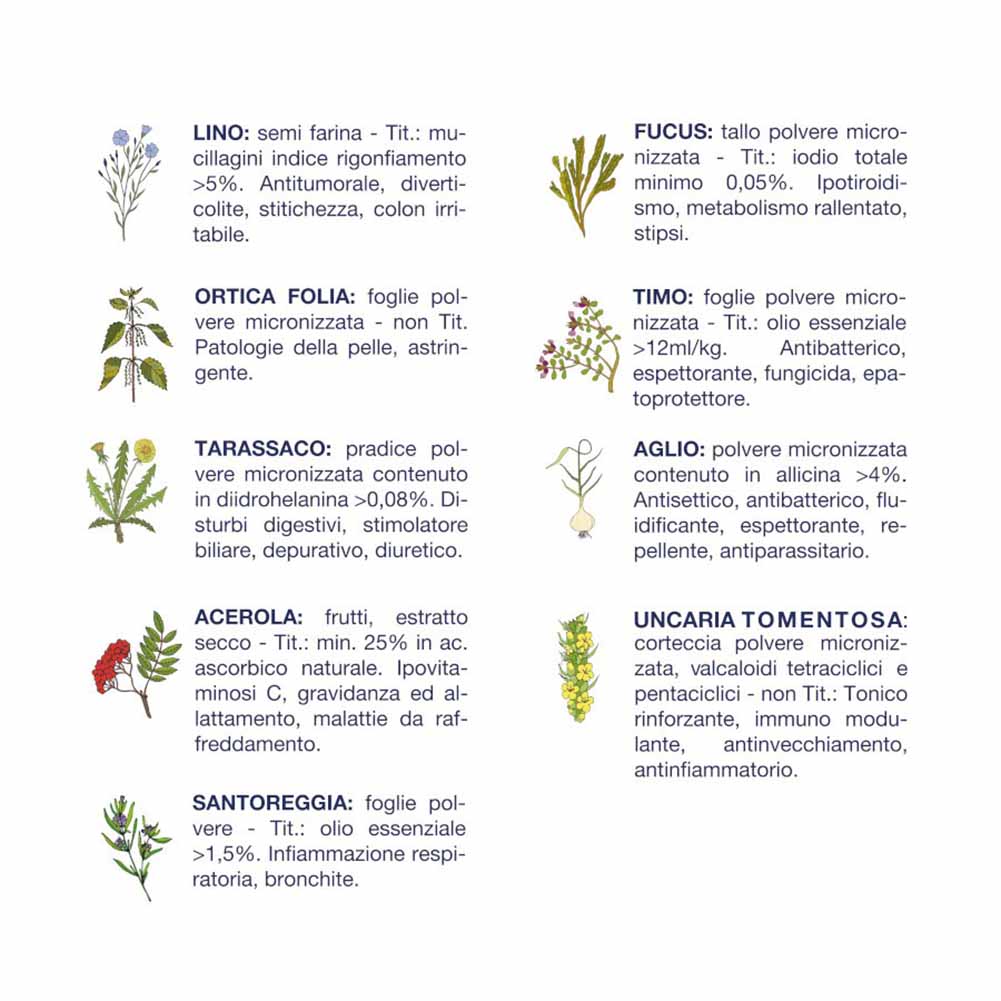 Alimento secco cane adulto Salute bufalo 12,5kg Vet Line 3