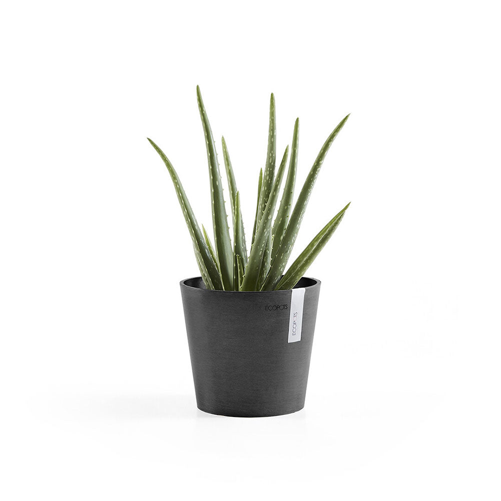 Vaso Amsterdam Mini Ø17 cm Grigio Scuro Ecopots 2