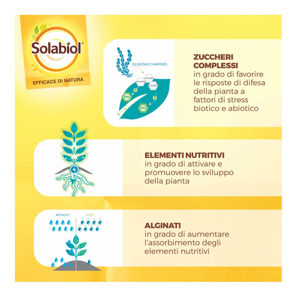 Concime BIO Liquido per Agrumi e Piante mediterranee 1lt Solabiol 3
