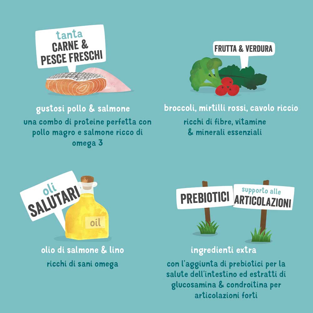 Alimento cane Senior Pollo e Salmone Edgard Cooper 150g 4