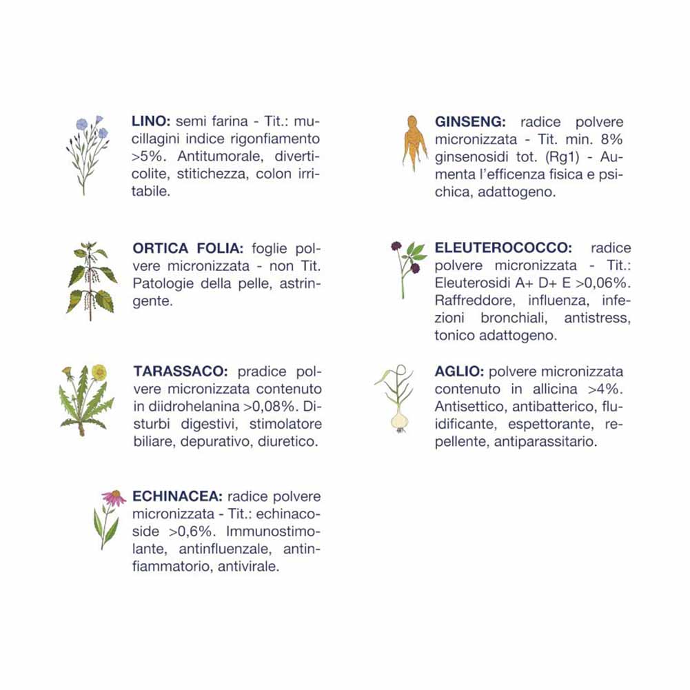 Alimento secco cane adulto pollo 12,5g Vet Line 3