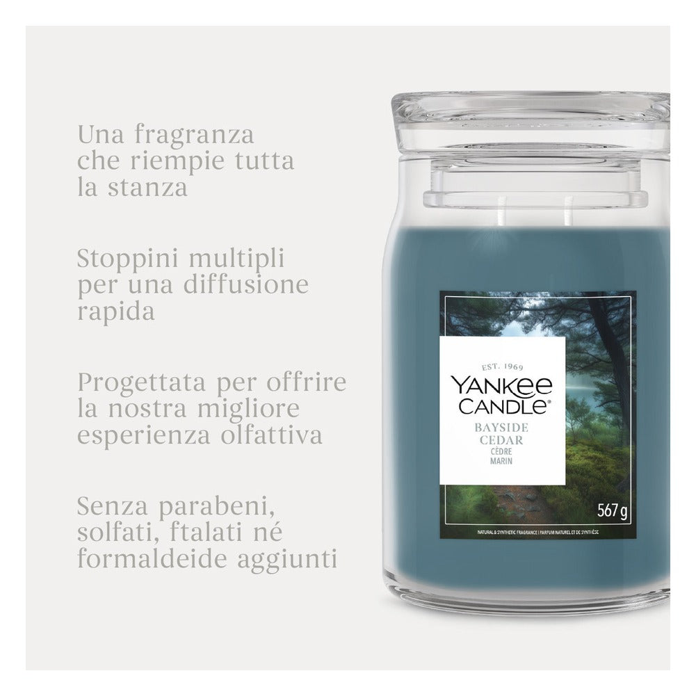 Candela Giara Grande Yankee Candle Signature Bayside Cedar 5