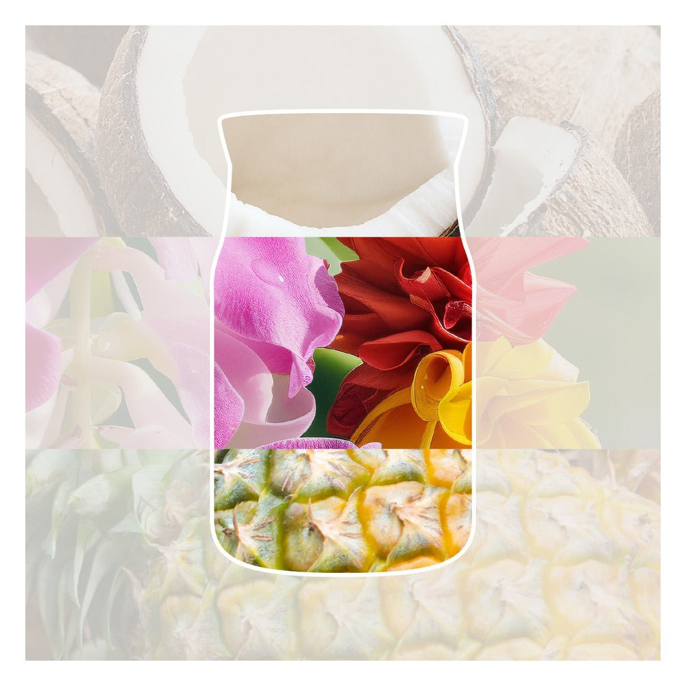 Candela Giara Grande Yankee Candle Signature Coconut Beach 2