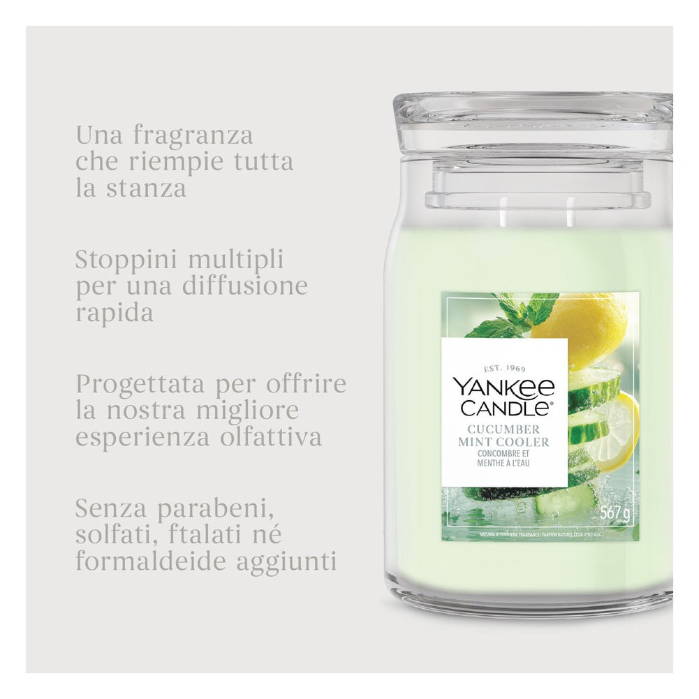 Candela Giara Grande Yankee Candle Signature Cucumber Mint Cooler 6