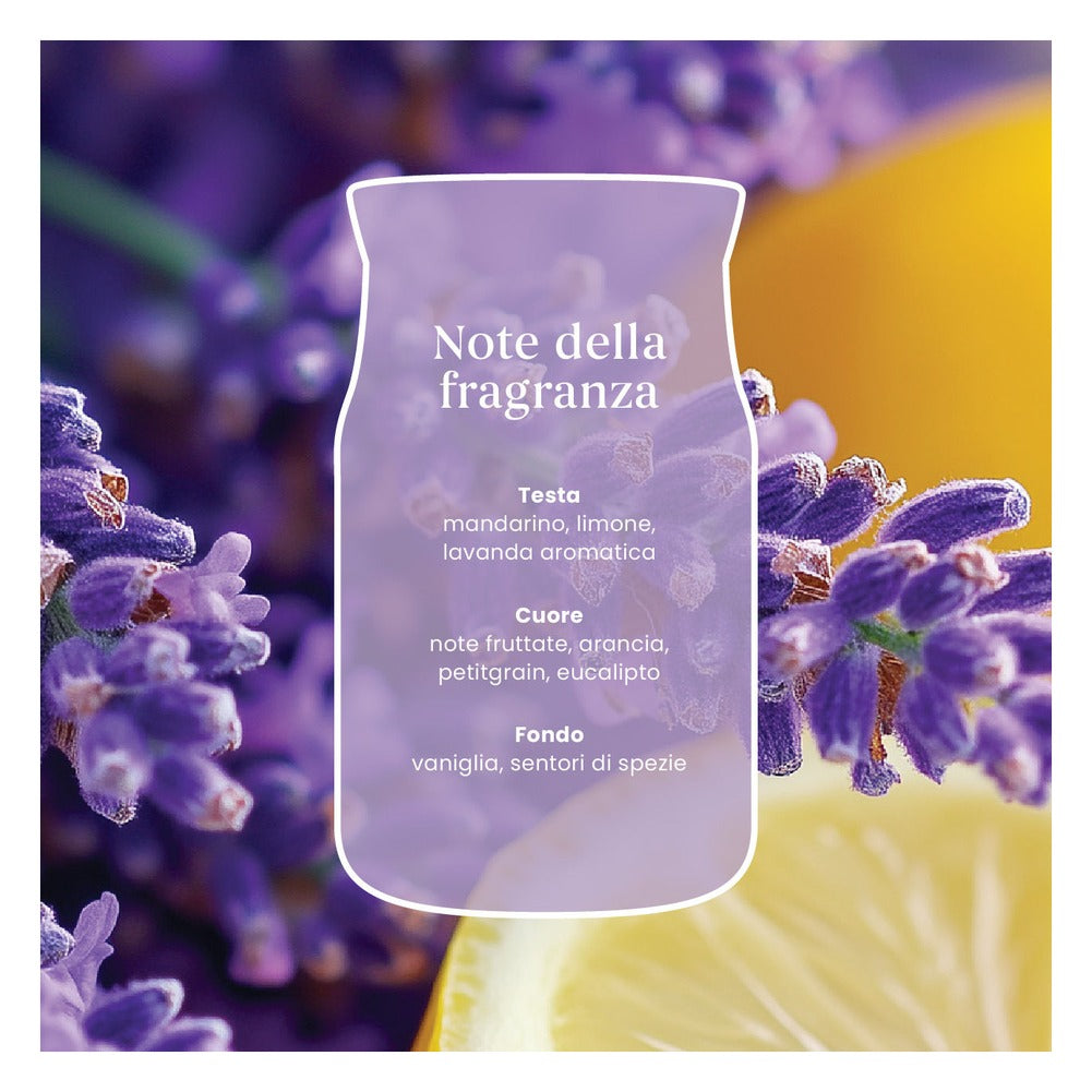 Candela Giara Grande Yankee Candle Signature Lemon Lavender 6
