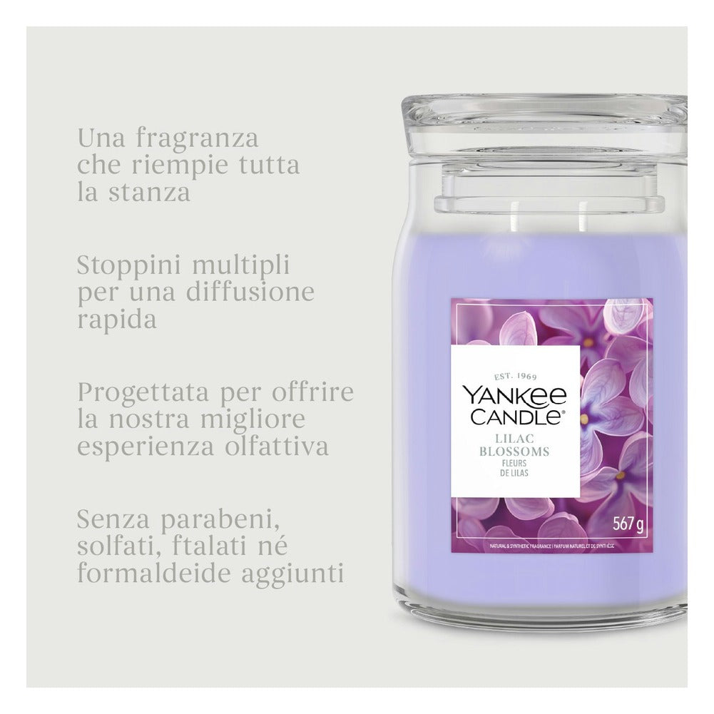 Candela Giara Grande Yankee Candle Signature Lilac Blossoms 7