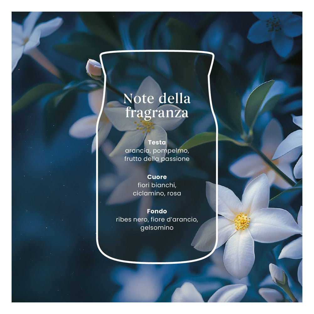 Candela Giara Grande Yankee Candle Signature Midnight Jasmine 5