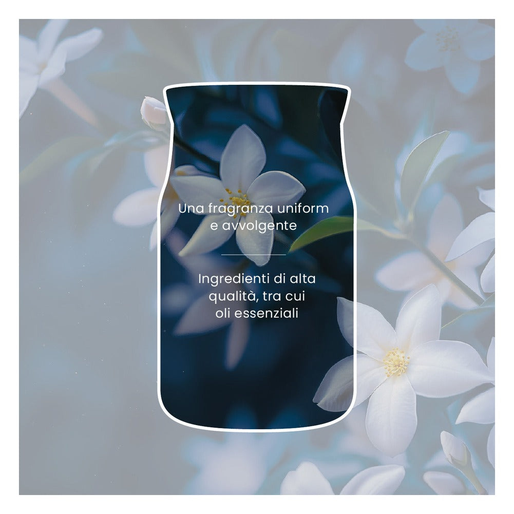 Candela Giara Grande Yankee Candle Signature Midnight Jasmine 6
