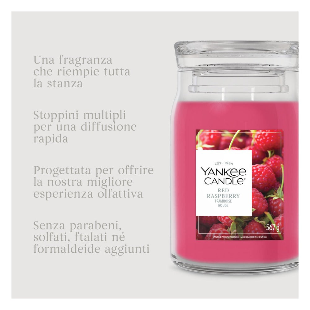 Candela Giara Grande Yankee Candle Signature Red Raspberry 7