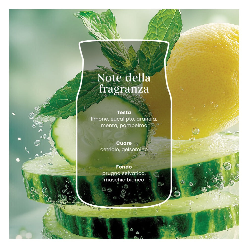 Candela Giara Media Yankee Candle Signature Cucumber Mint Cooler 3