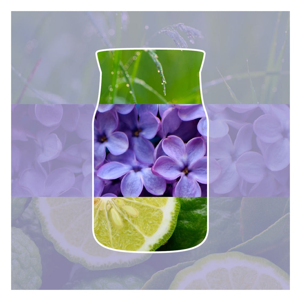 Candela Giara Media Yankee Candle Signature Lilac Blossoms 2