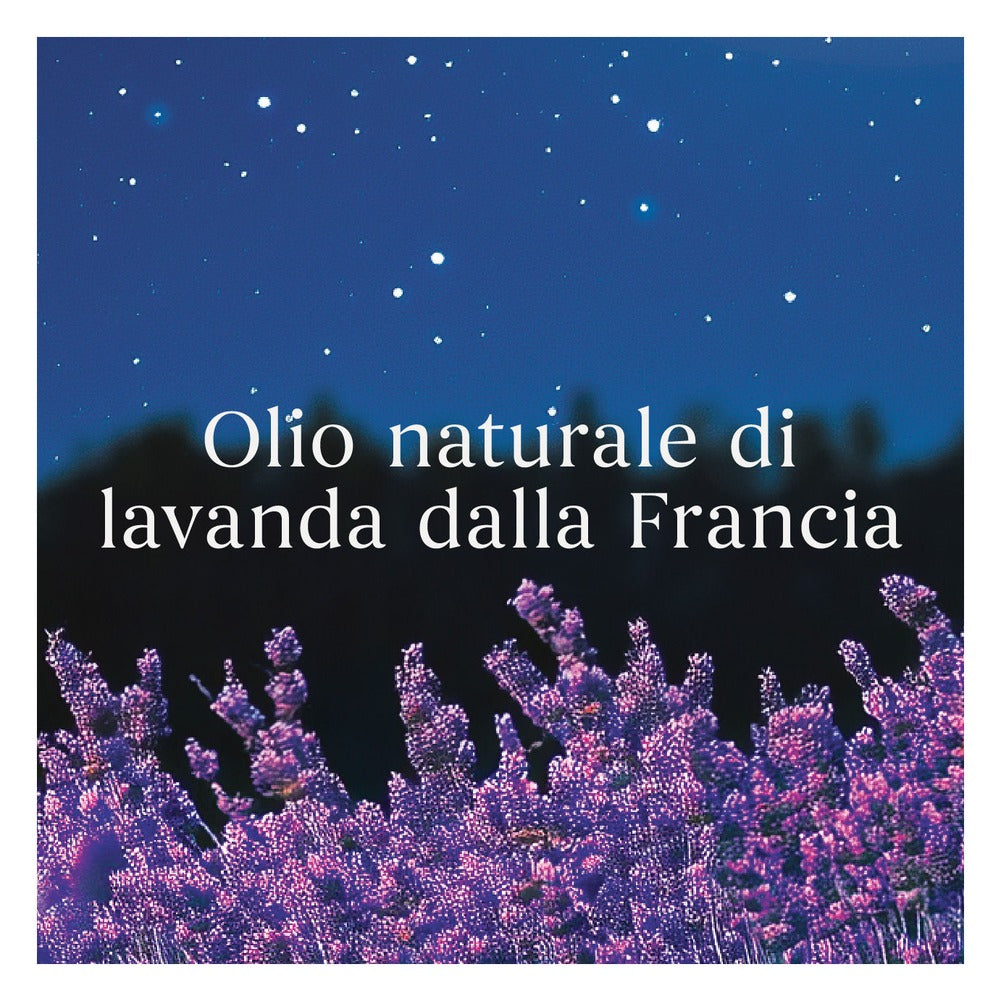 Candela Giara Media Yankee Candle Signature Midsummer's Night 5