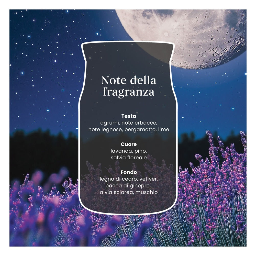 Candela Giara Media Yankee Candle Signature Midsummer's Night 6