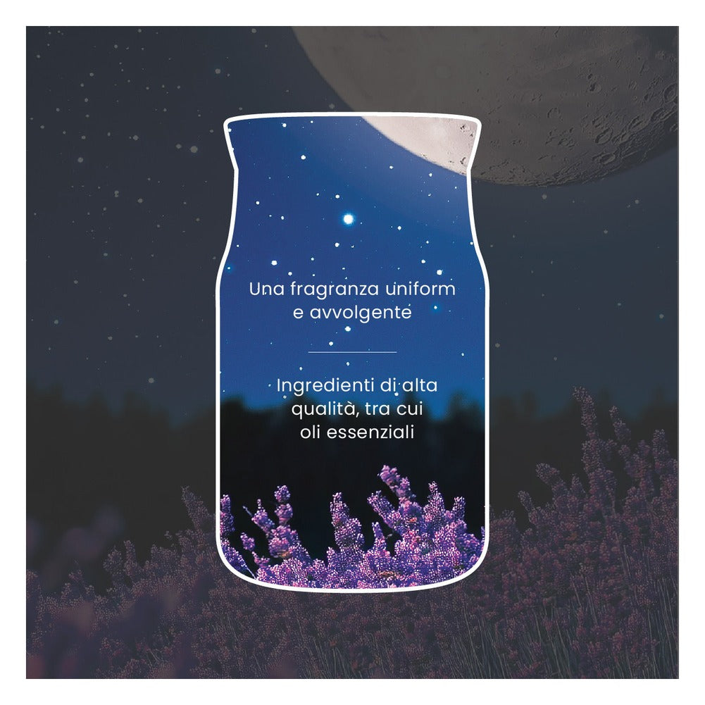 Candela Giara Media Yankee Candle Signature Midsummer's Night 7