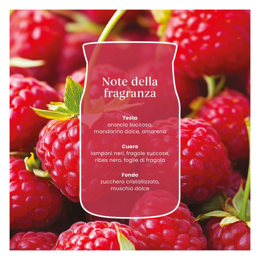 Candela Giara Media Yankee Candle Signature Red Raspberry 3