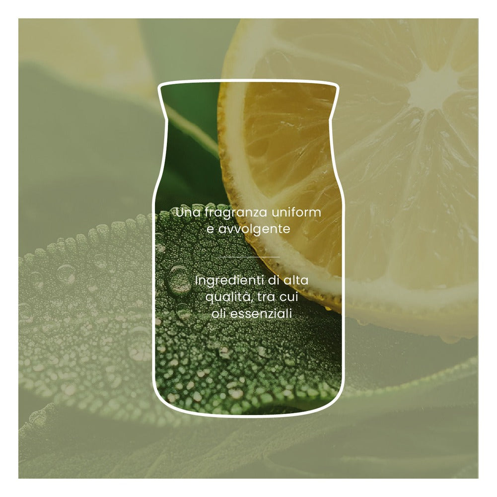 Candela Giara Media Yankee Candle Signature Sage & Citrus 7