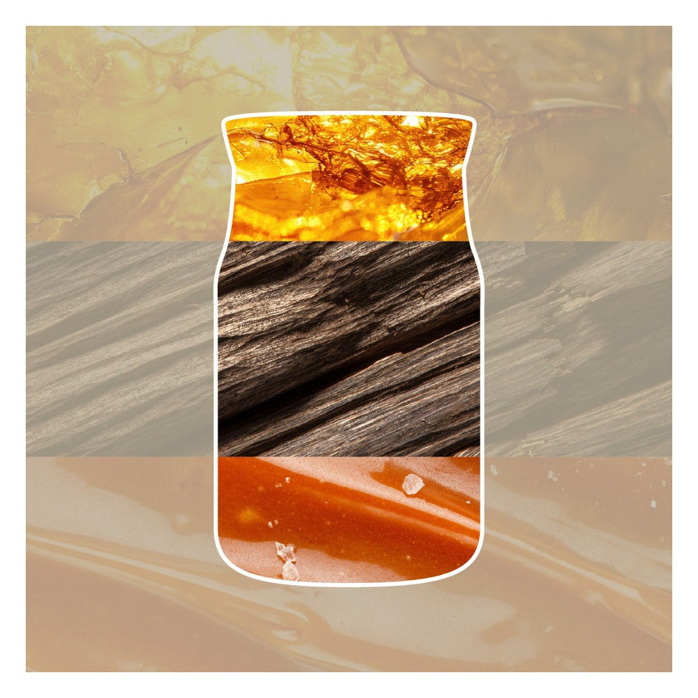 Ricarica ScentPlug Yankee Candle Amber & Sandalwood 2