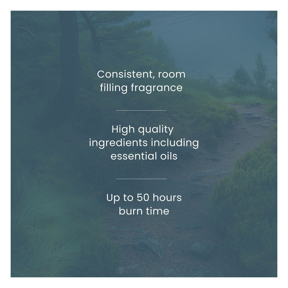 Ricarica ScentPlug Yankee Candle Bayside Cedar 2