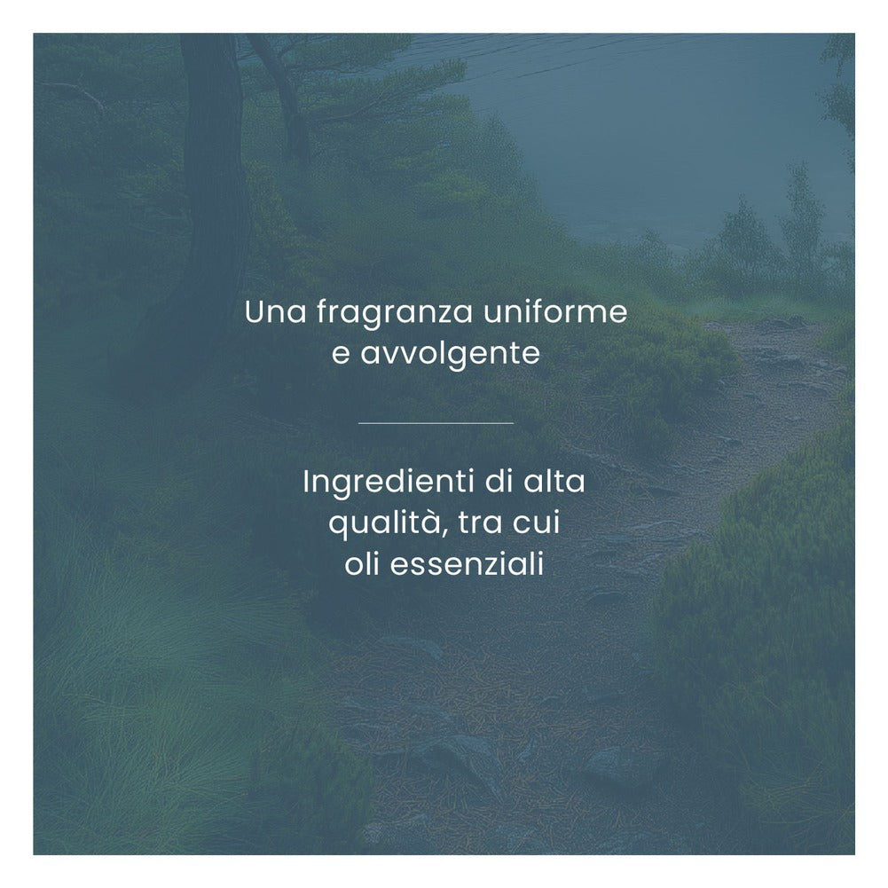 Ricarica ScentPlug Yankee Candle Bayside Cedar 6