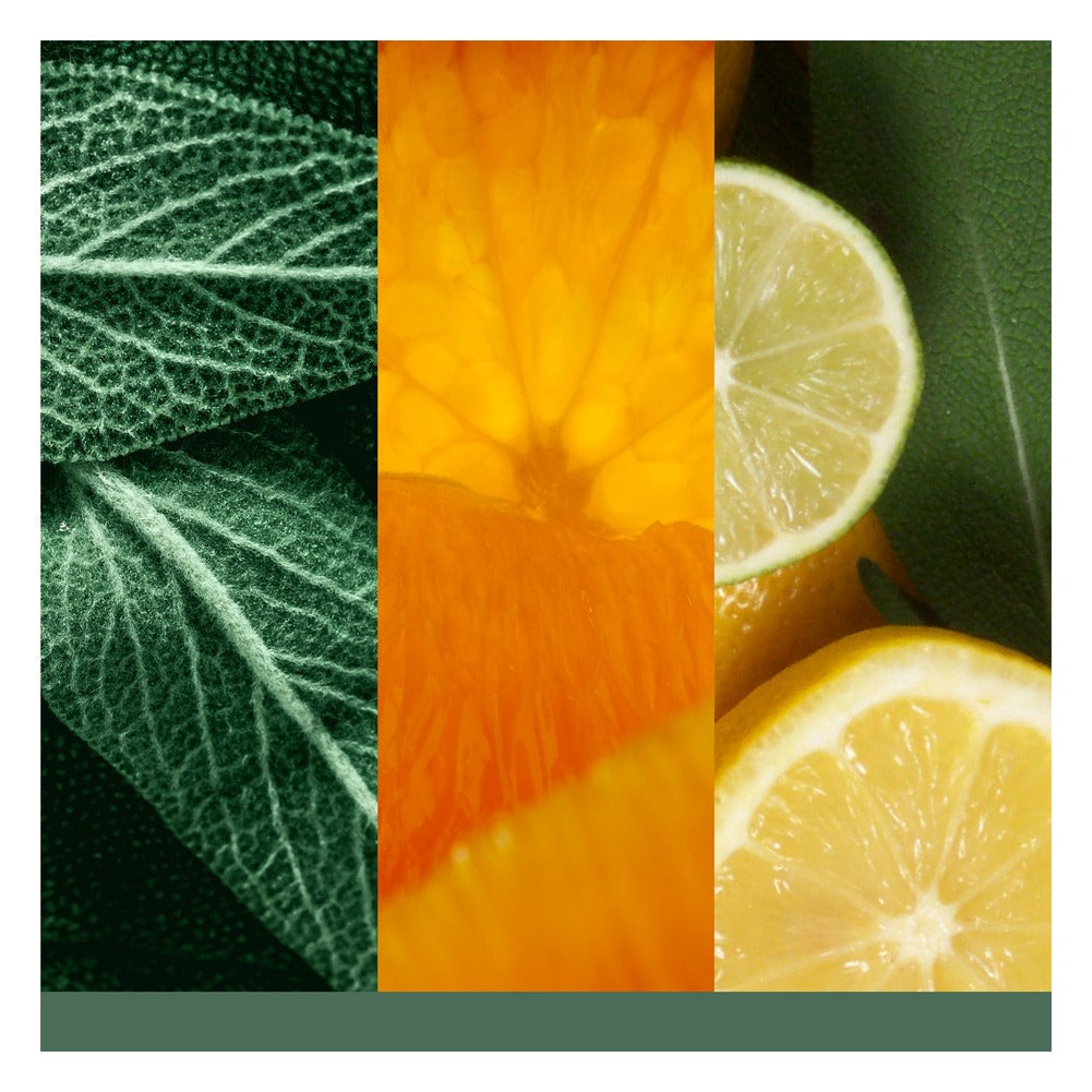 Tart Profumata Yankee Candle Sage & Citrus 2