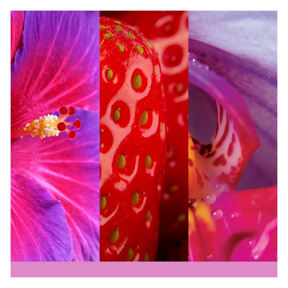 Tart Profumata Yankee Candle Wild Orchid 2