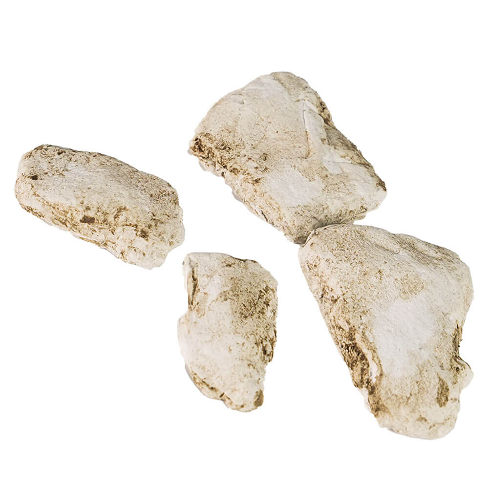 Pietre per Pavimentazione Romana Componibile in Gesso 1