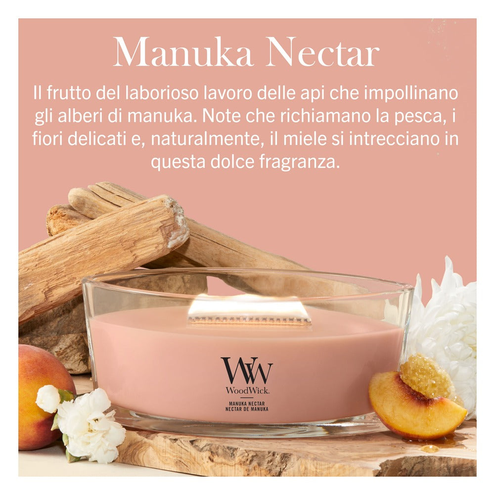 Candela Ellipse WoodWick Manuka Nectar 2