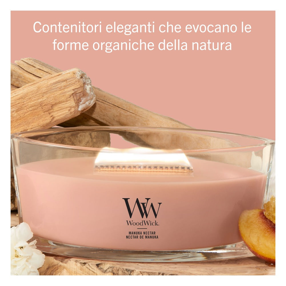 Candela Ellipse WoodWick Manuka Nectar 3