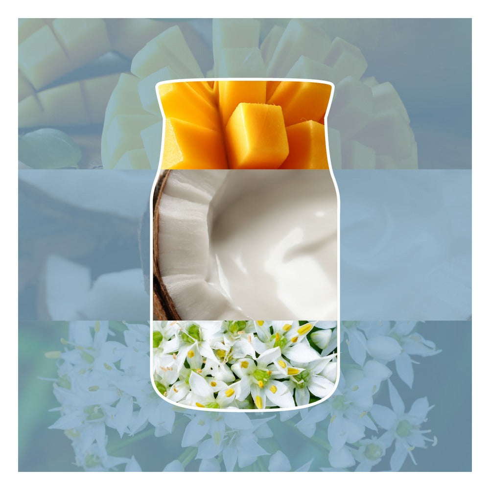 Candela Giara Media Yankee Candle Signature Salted Coconut 2